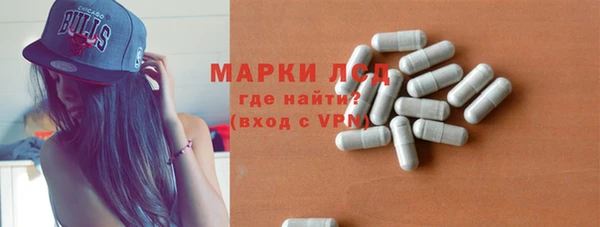 spice Аркадак