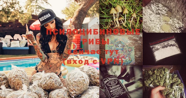 spice Аркадак