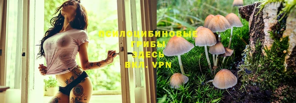 spice Аркадак