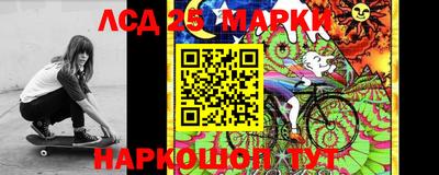 сатива Коммунар