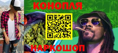 сатива Коммунар