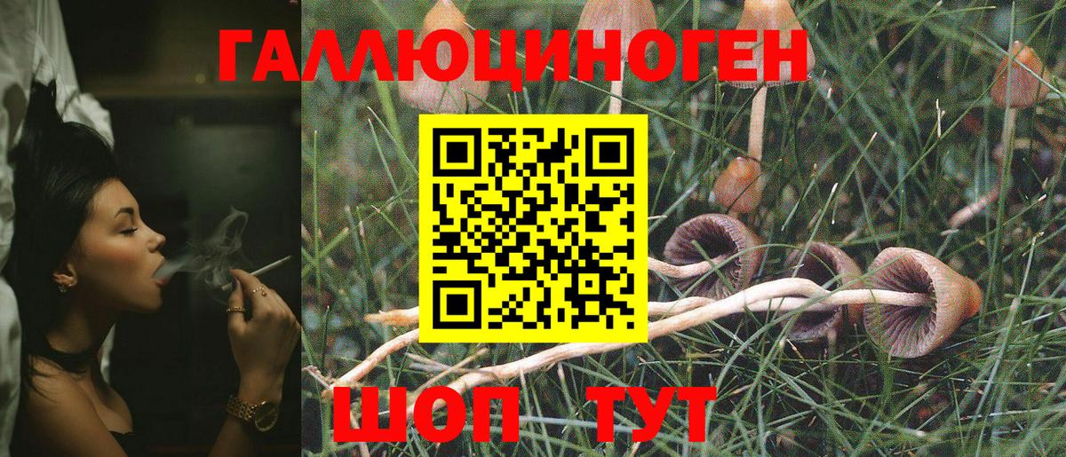 Псилоцибиновые грибы MAGIC MUSHROOMS  Вход с VPN  купить наркоту  Уварово 